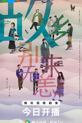 雁塔区seo优化系统